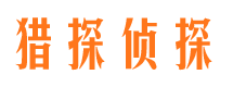 开平侦探